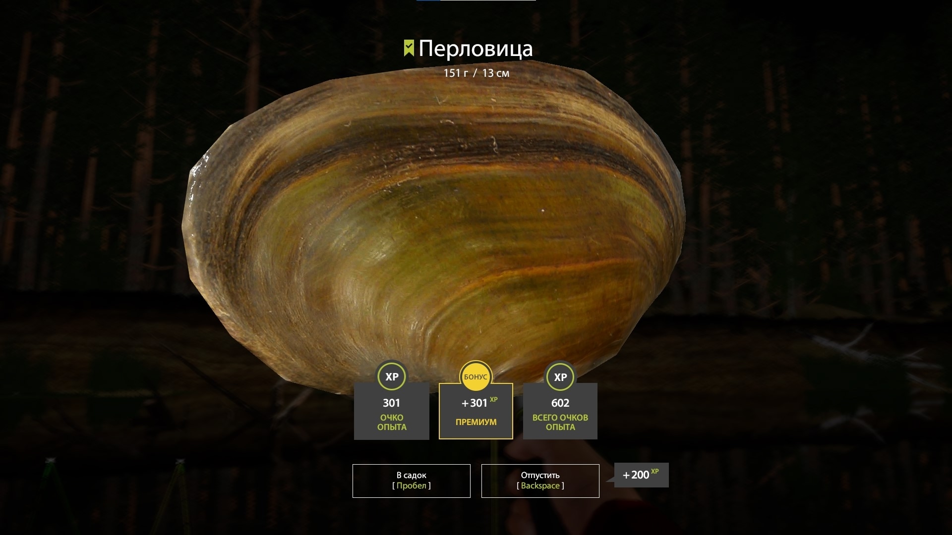 Trophy Winding Rivulet