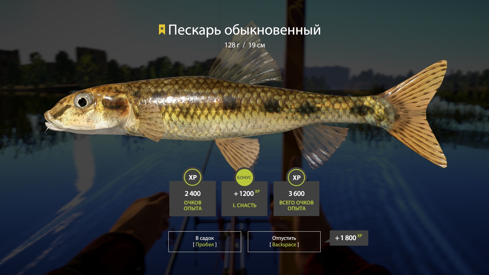 Trophy Volkhov River