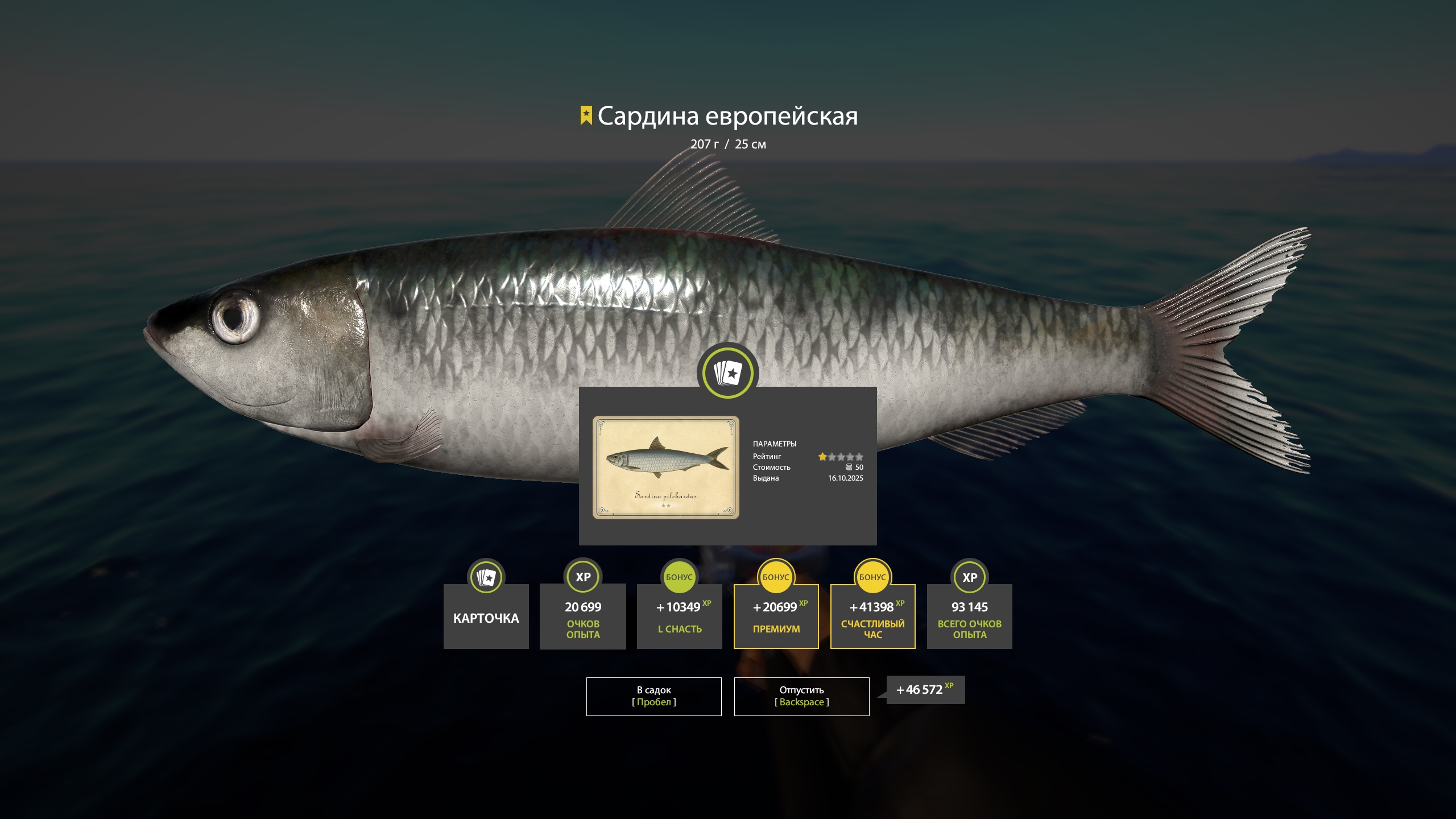 Trophy Norwegian Sea