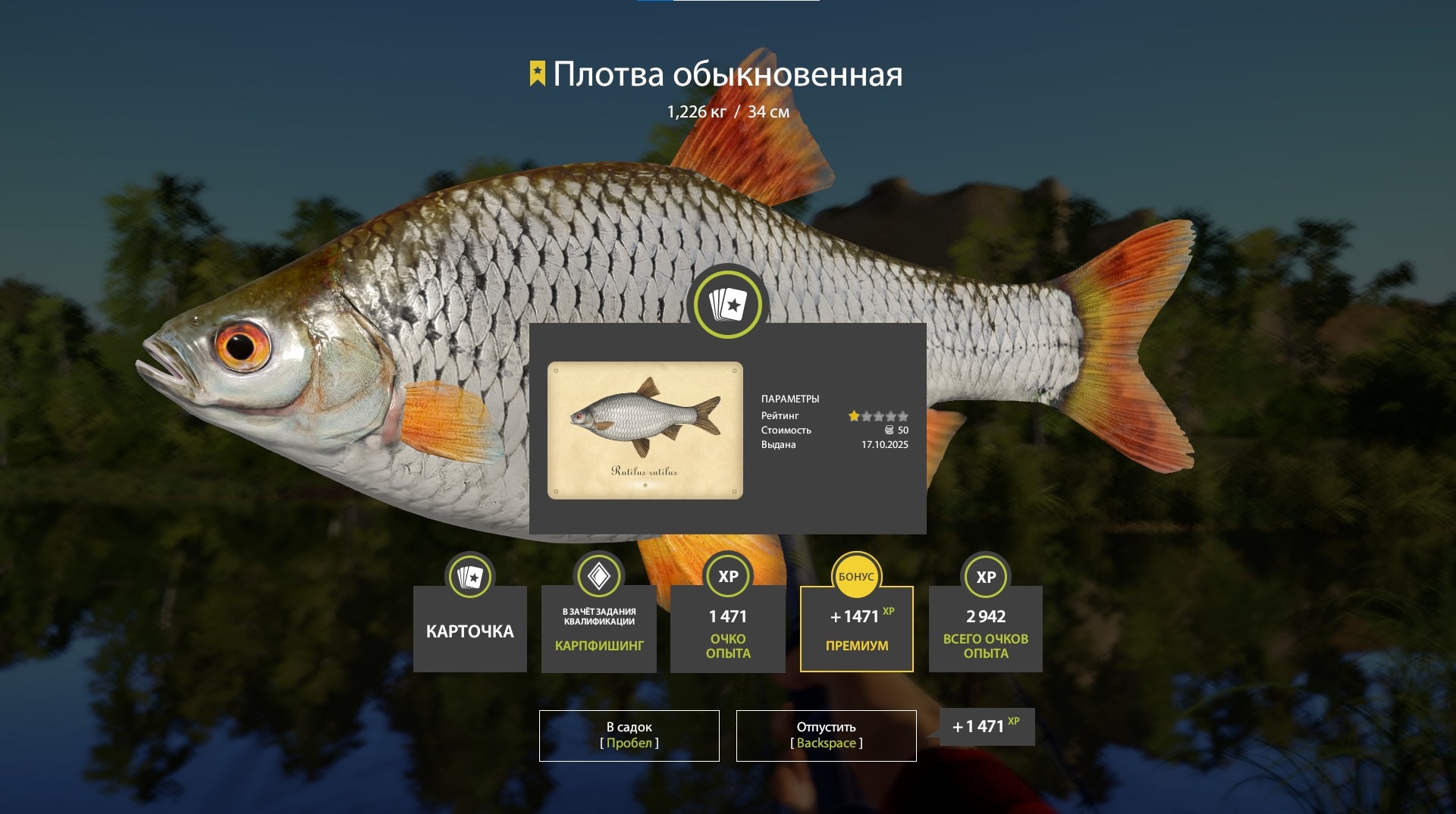 Trophy Volkhov River