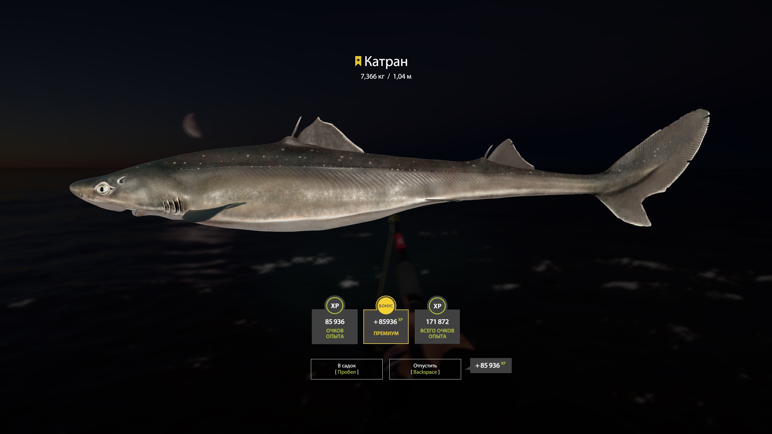 Trophy Norwegian Sea