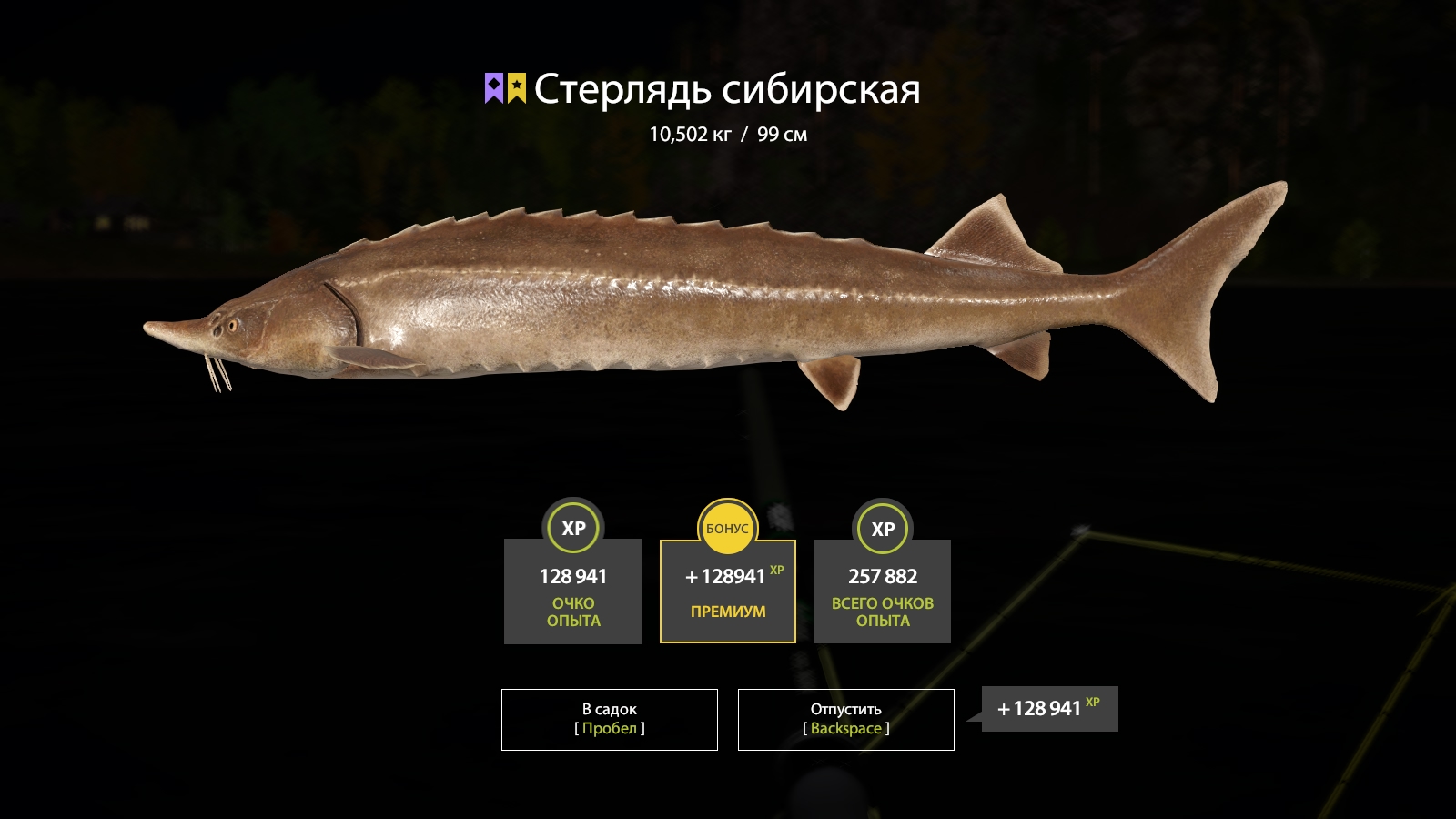 Trophy Lower Tunguska River