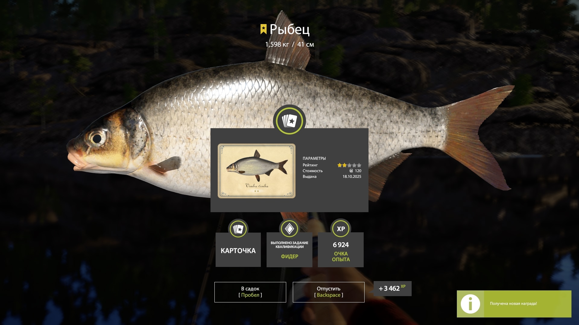 Trophy Ladoga Lake