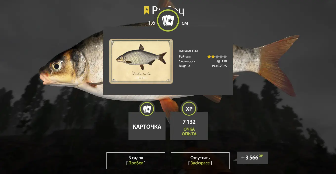 Trophy Ladoga Lake