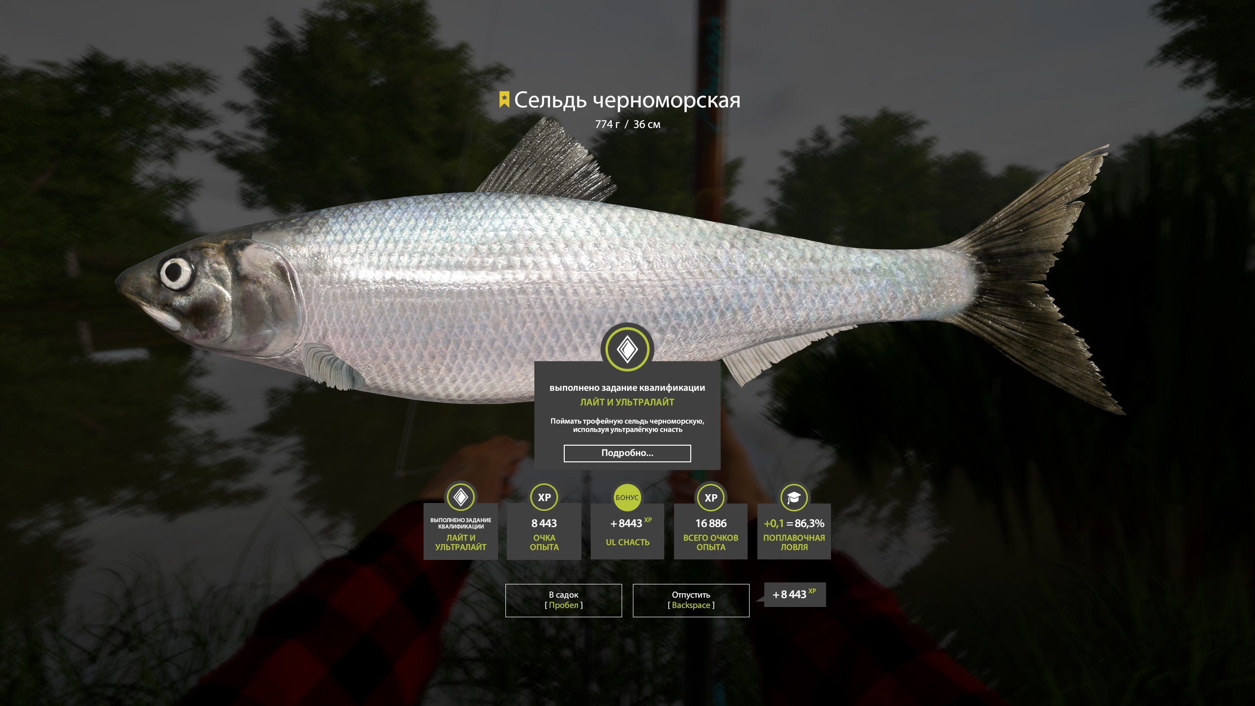 Trophy Seversky Donets River