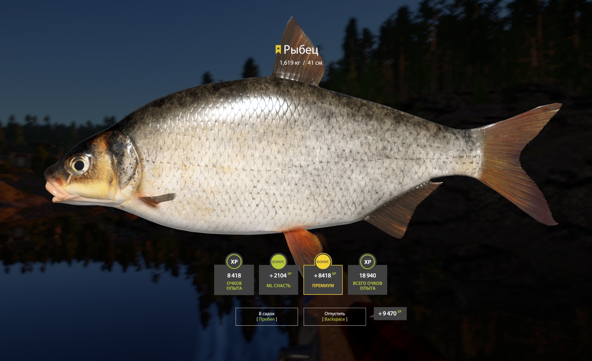 Trophy Ladoga Lake