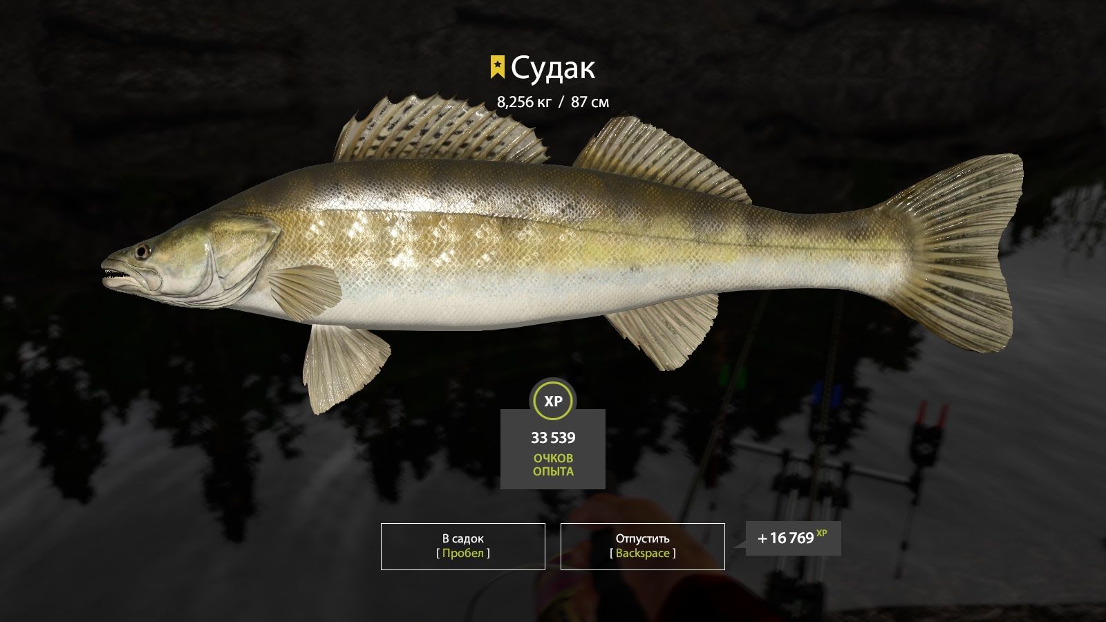 Trophy Ladoga Lake
