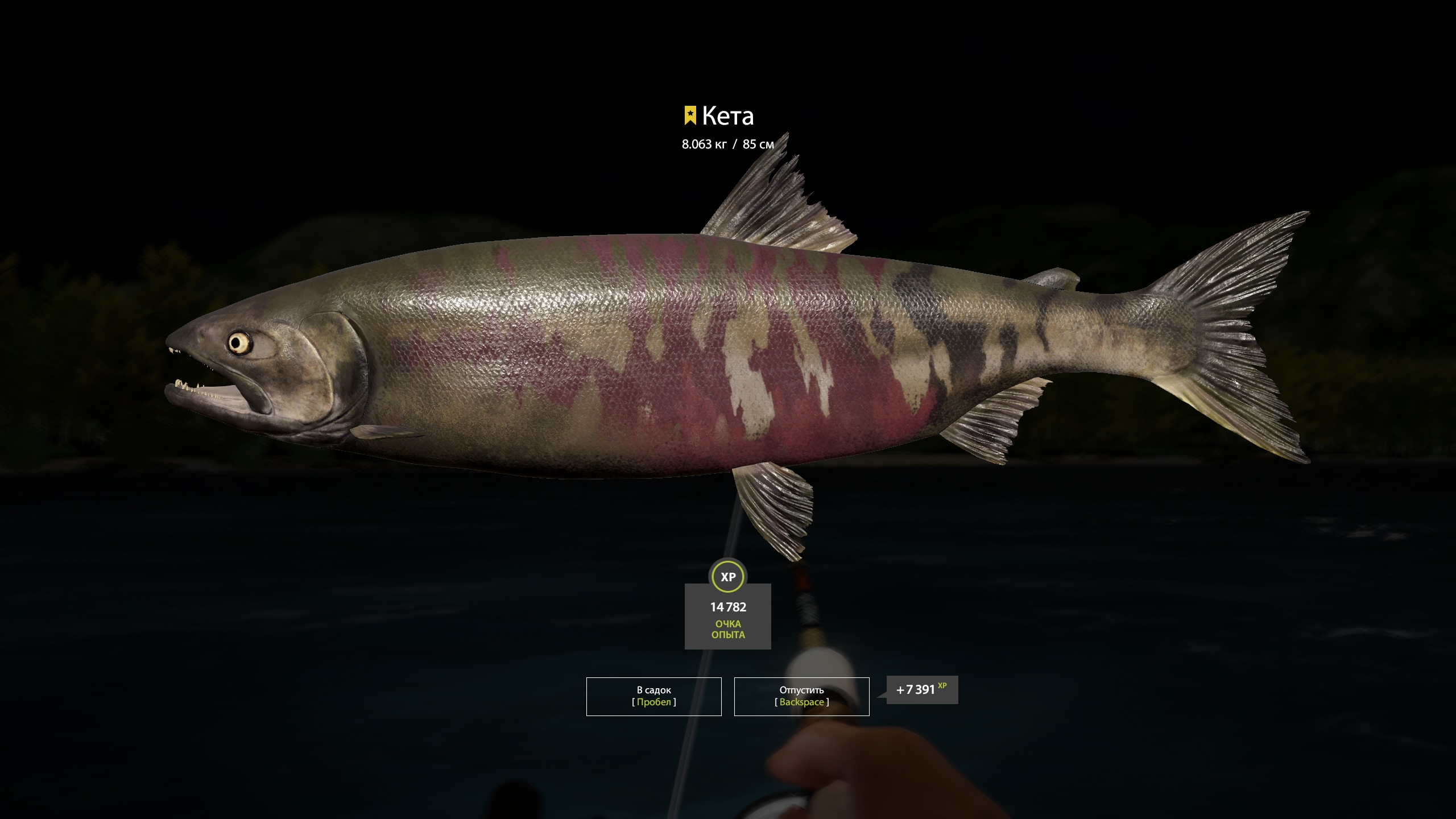 Trophy Yama River