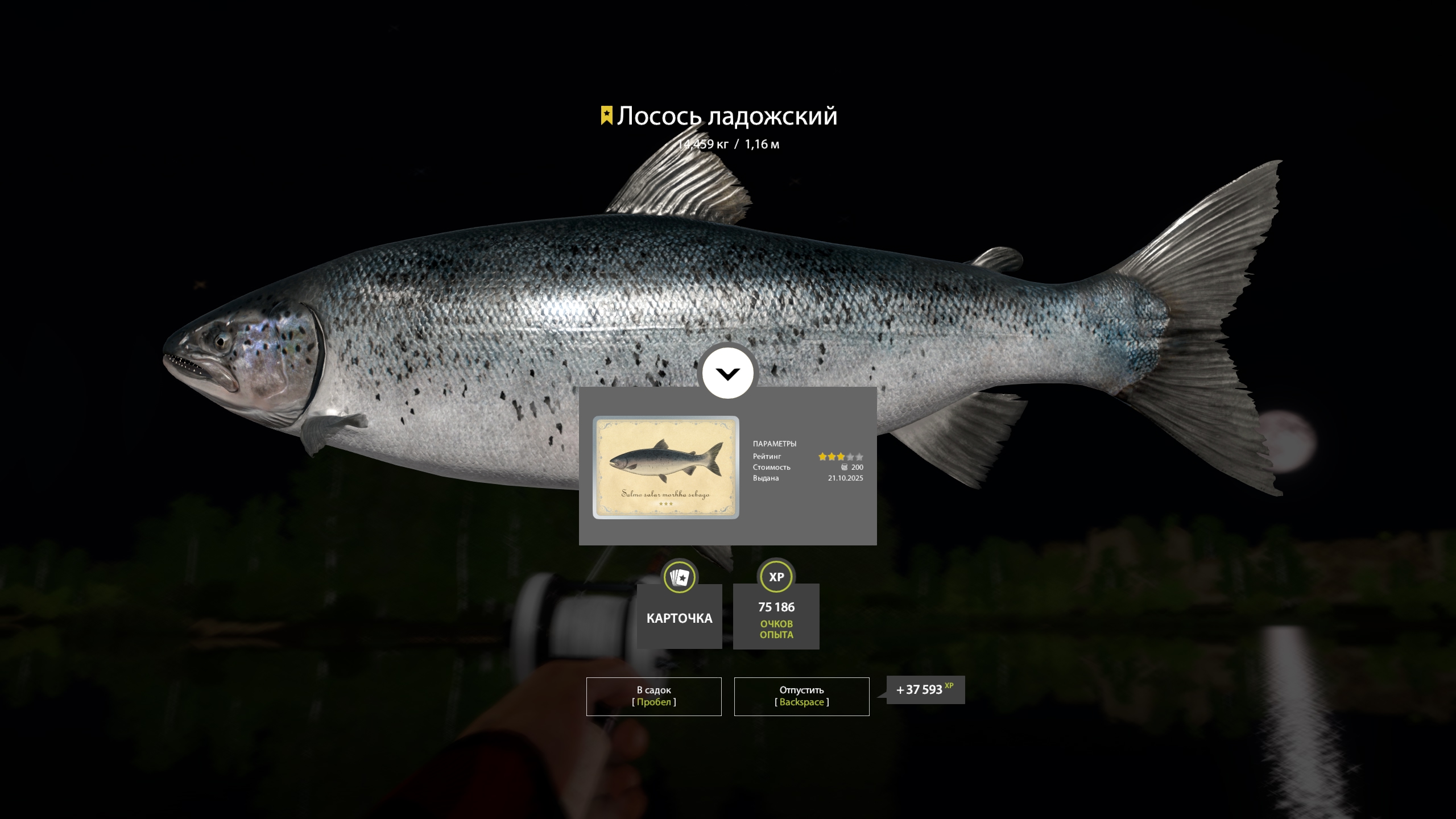 Trophy Volkhov River