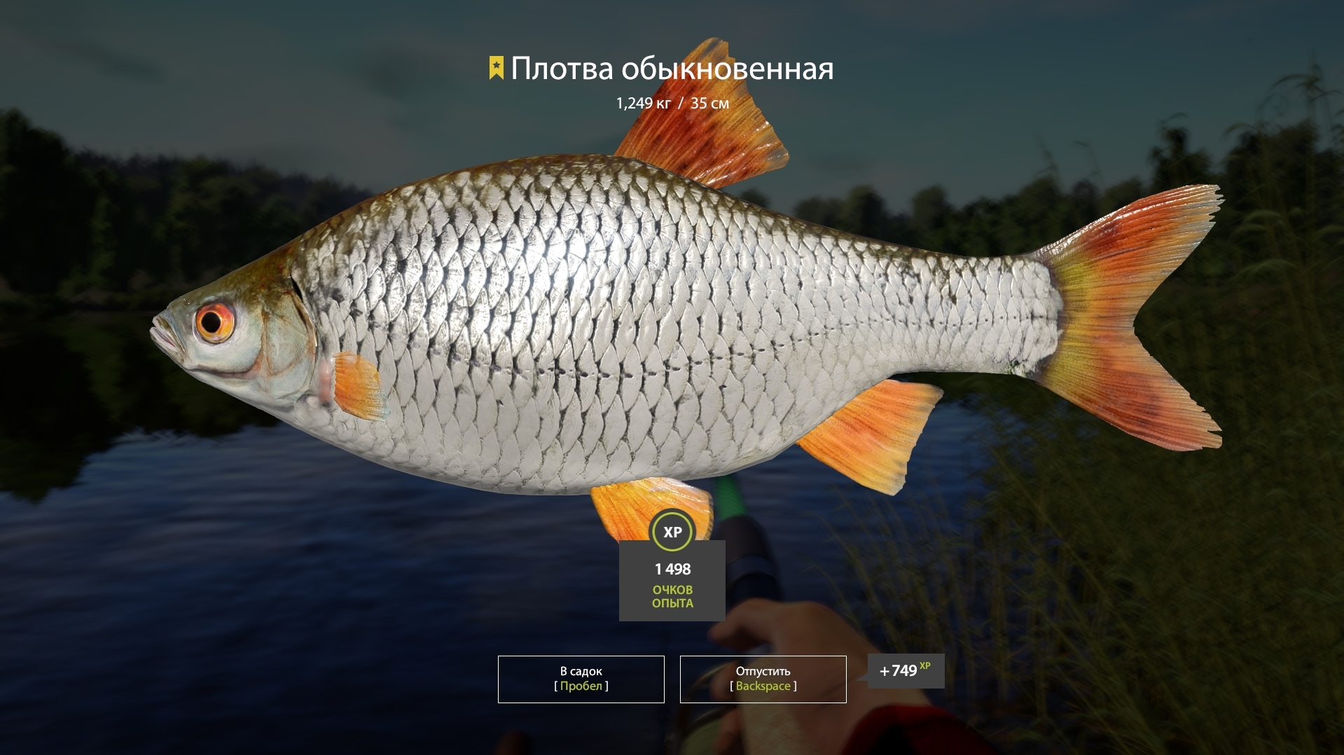 Trophy Mosquito Lake