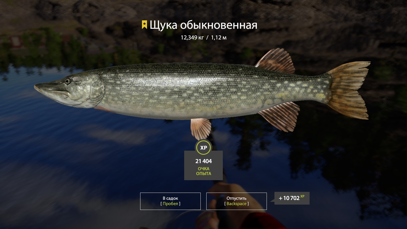 Trophy Ladoga Lake