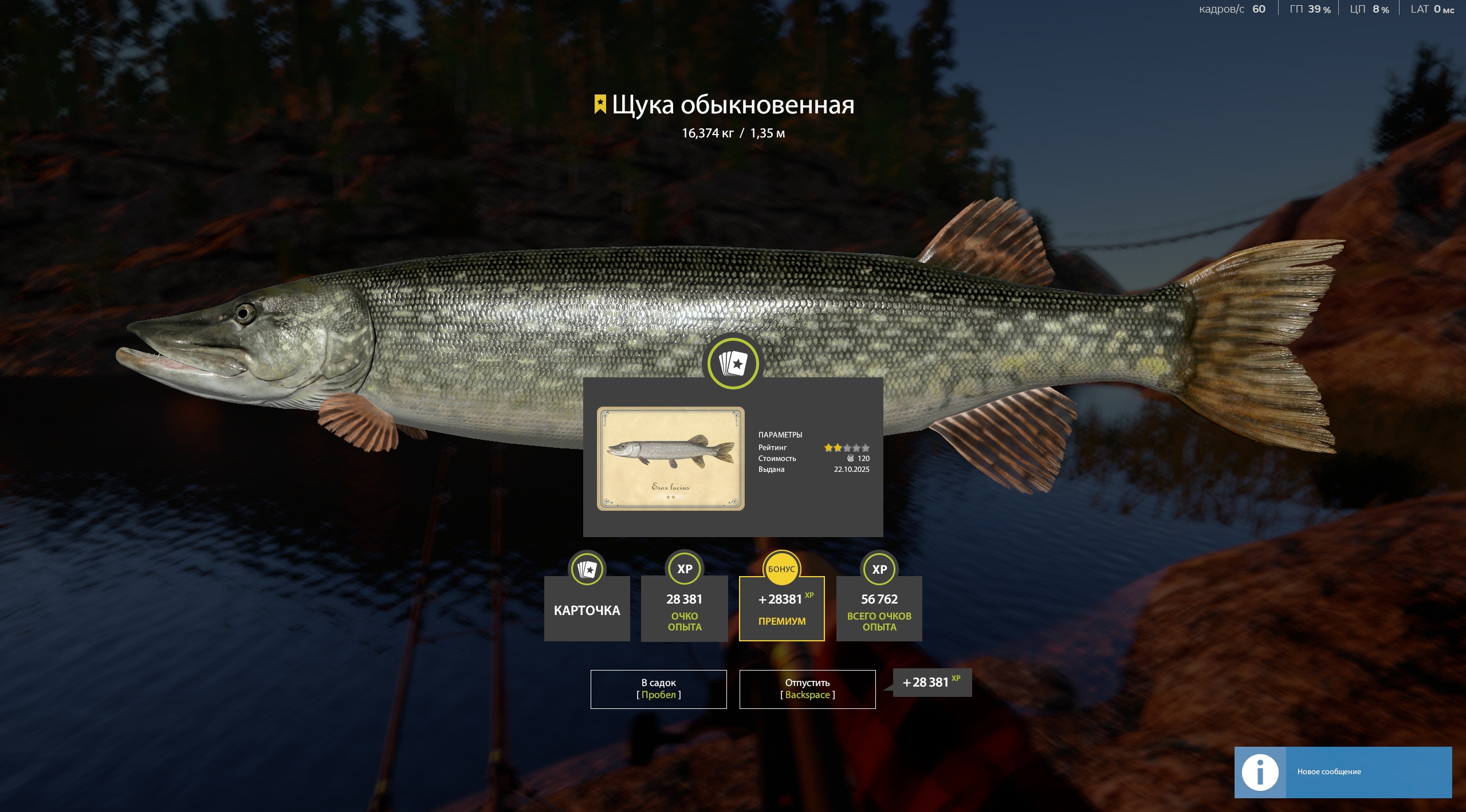 Trophy Ladoga Lake