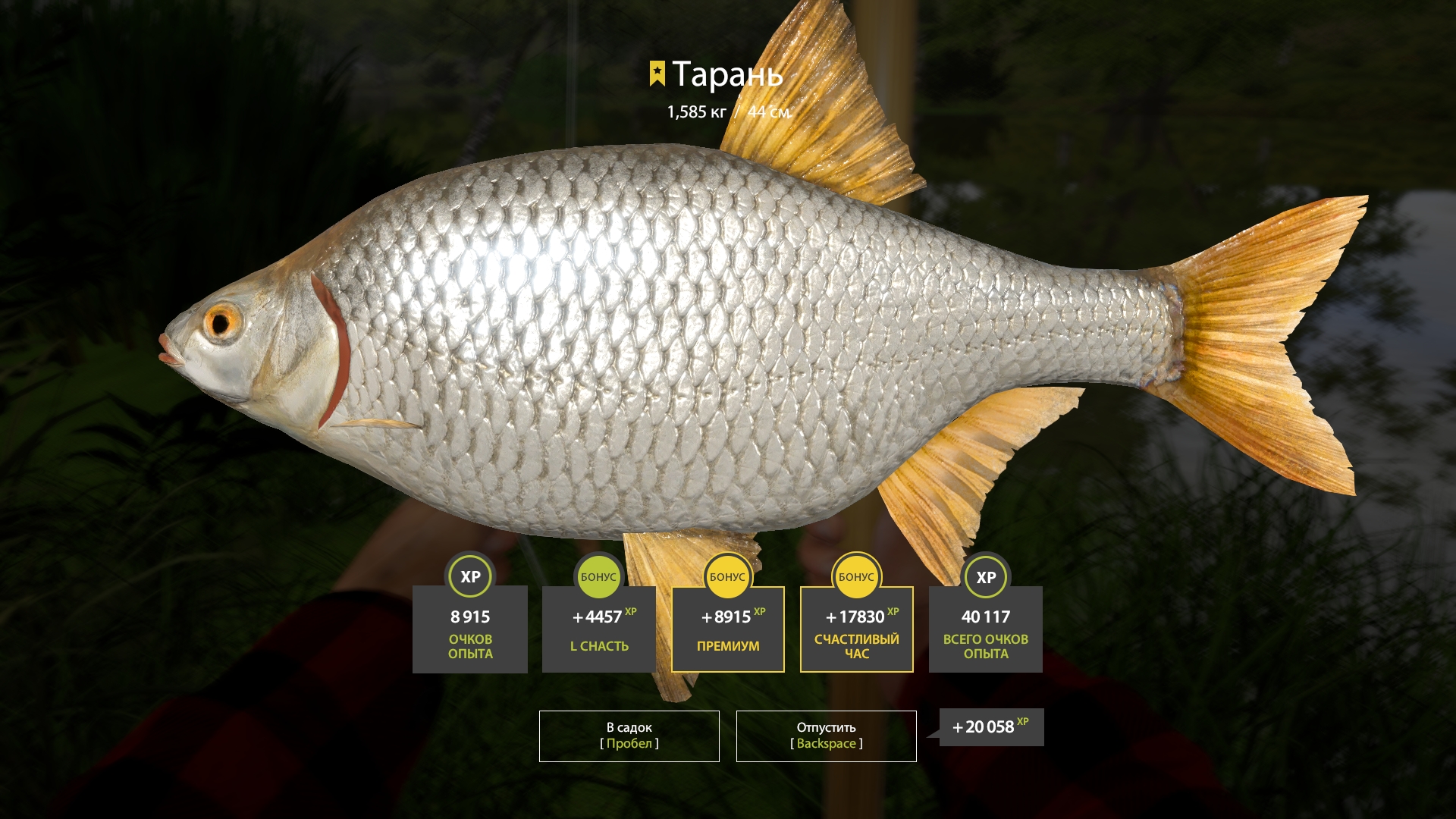 Trophy Seversky Donets River