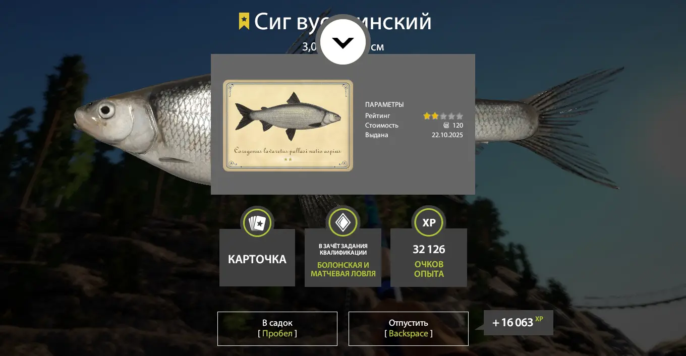 Trophy Ladoga Lake