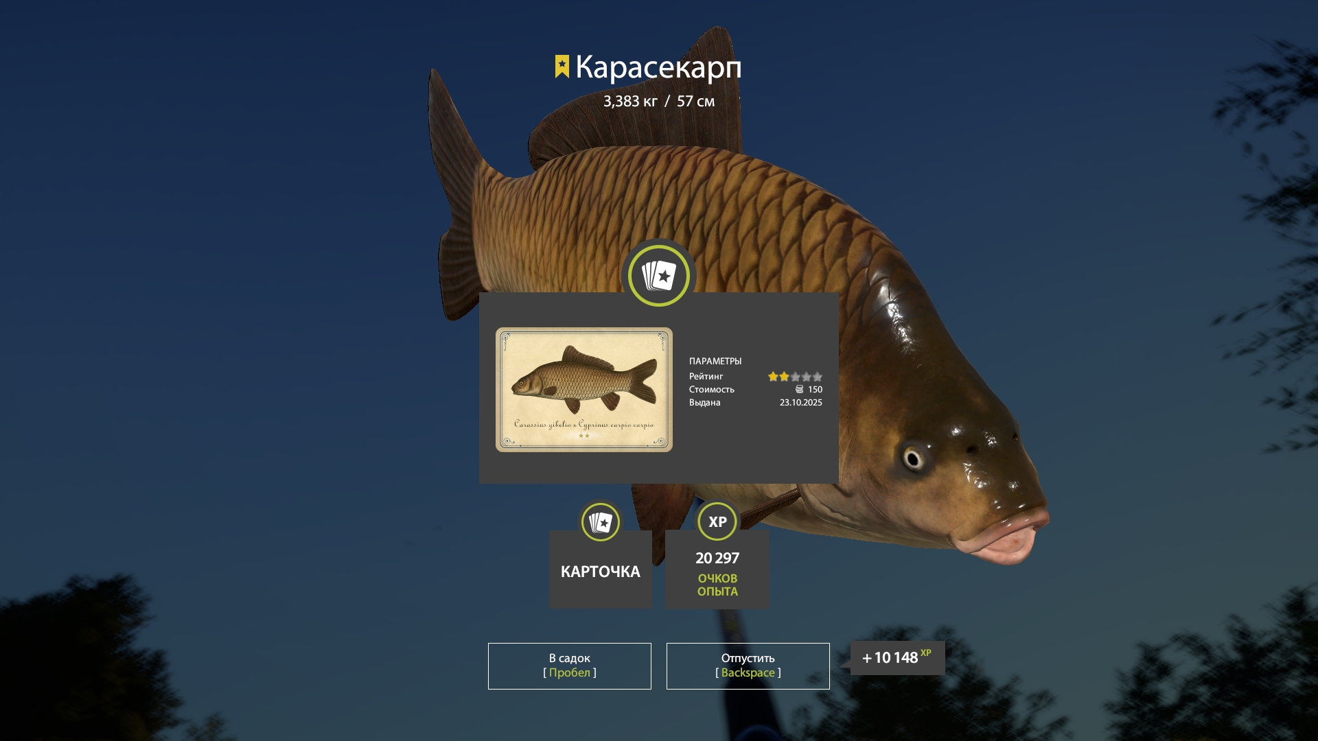 Trophy Copper lake
