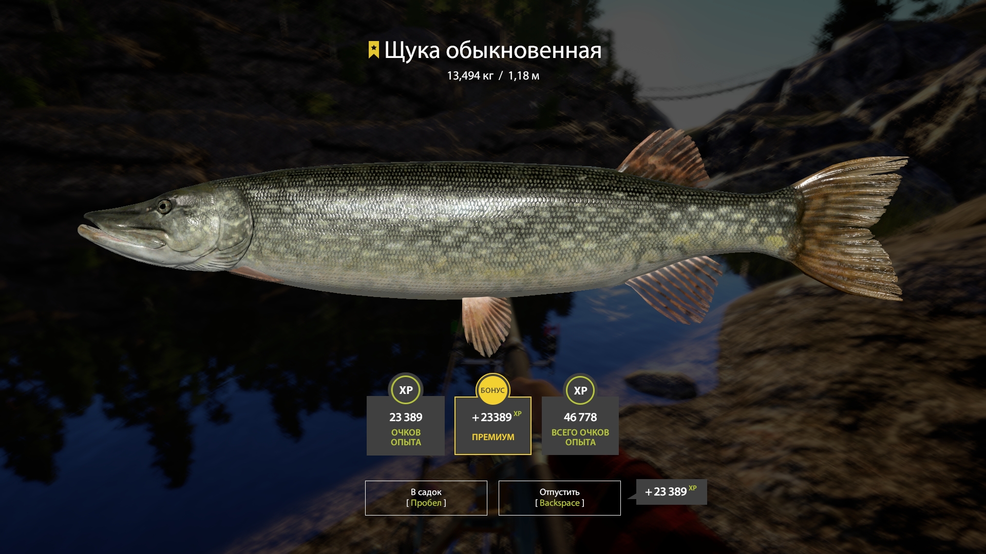 Trophy Ladoga Lake
