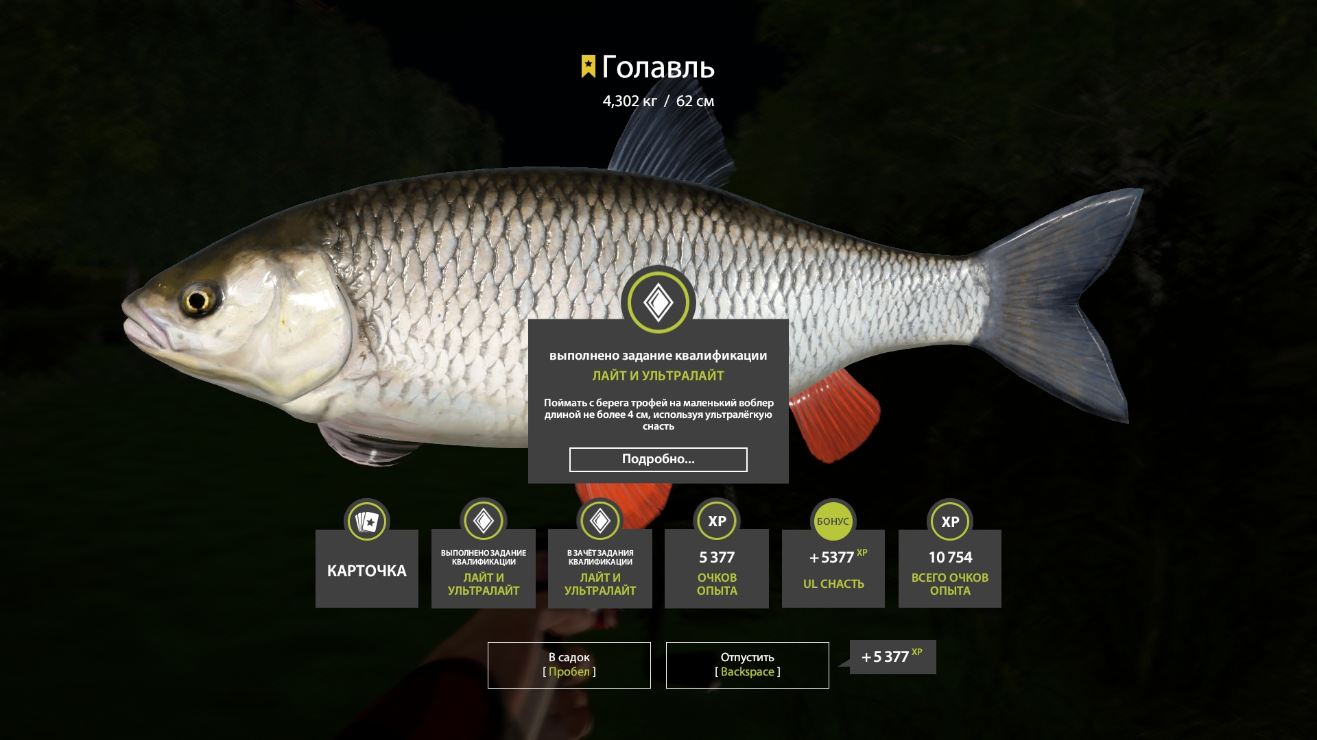 Trophy Seversky Donets River