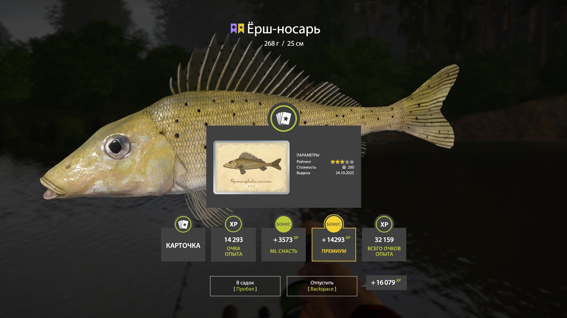 Trophy Winding Rivulet