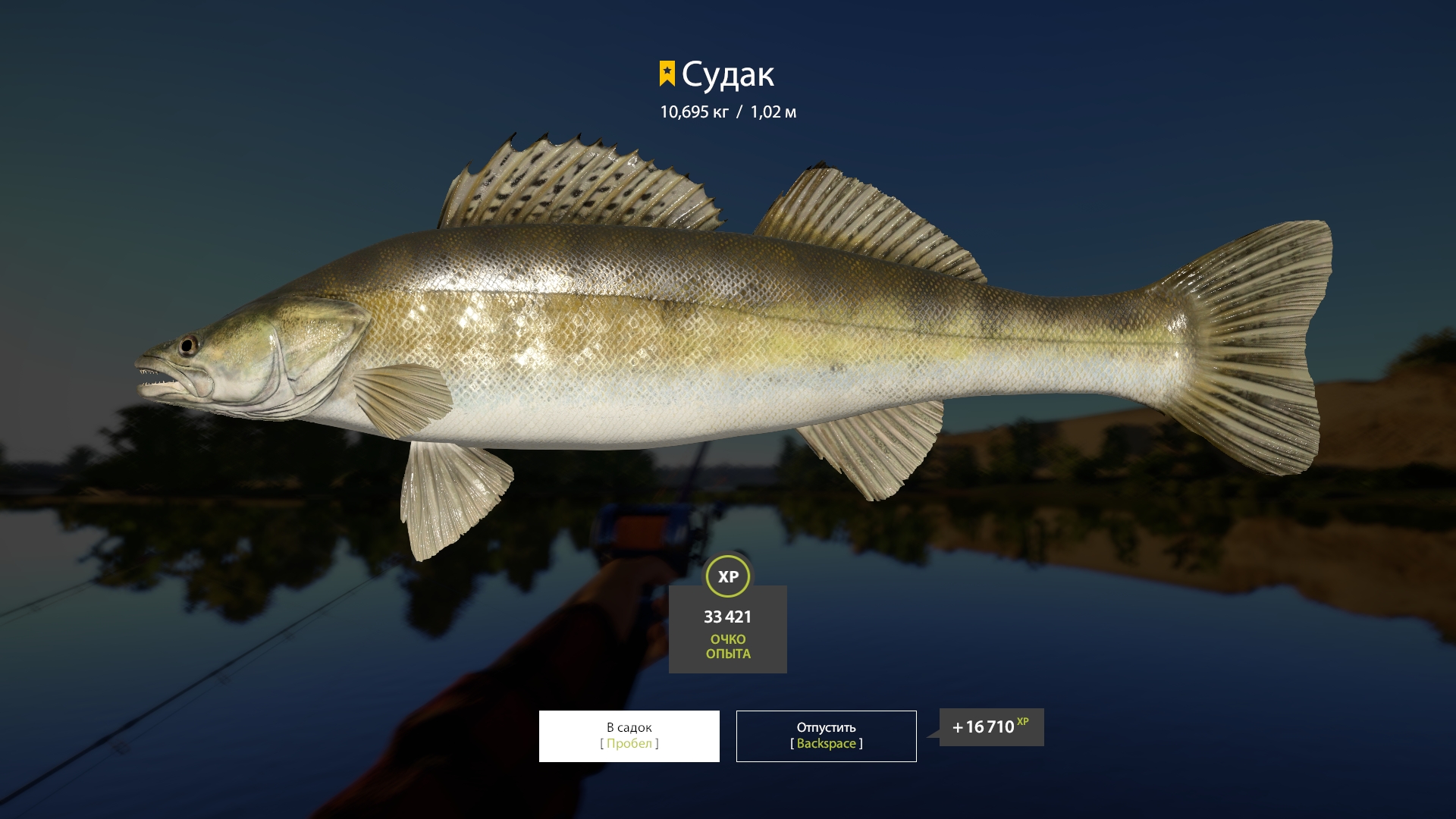 Trophy Volkhov River