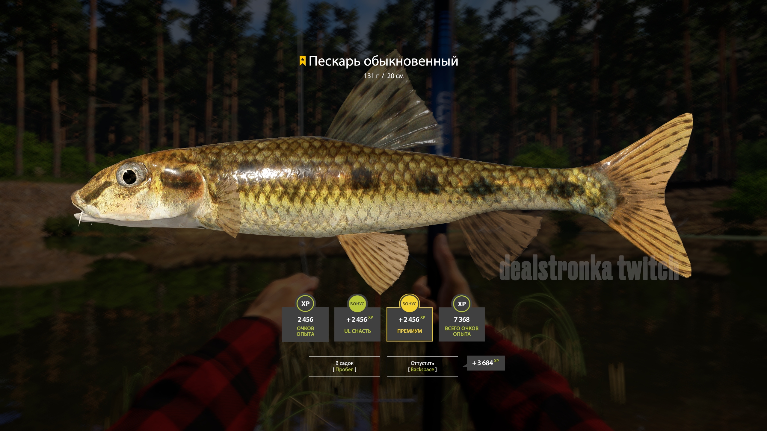 Trophy Winding Rivulet