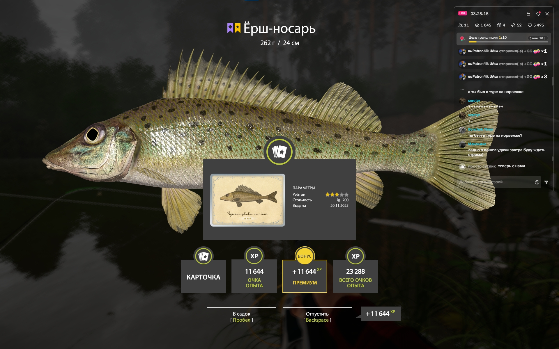 Trophy Winding Rivulet