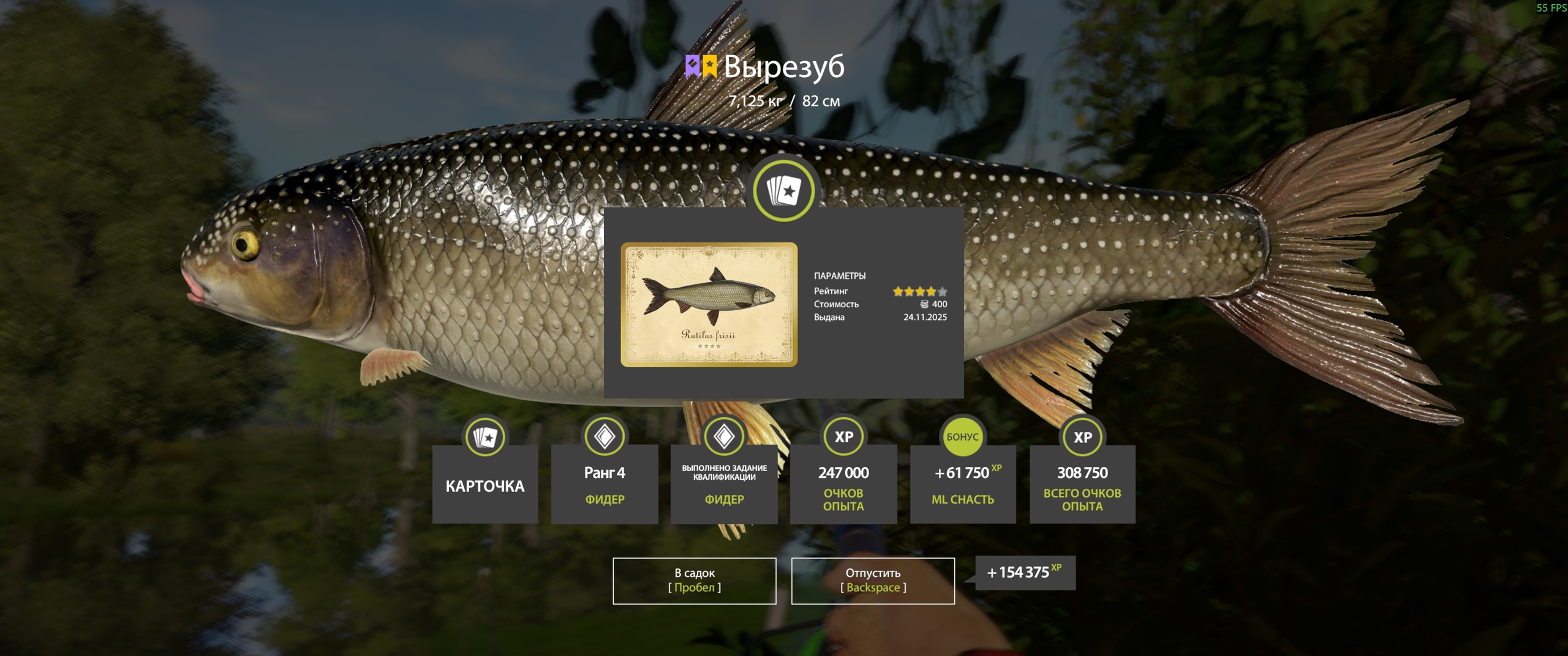 Trophy Seversky Donets River