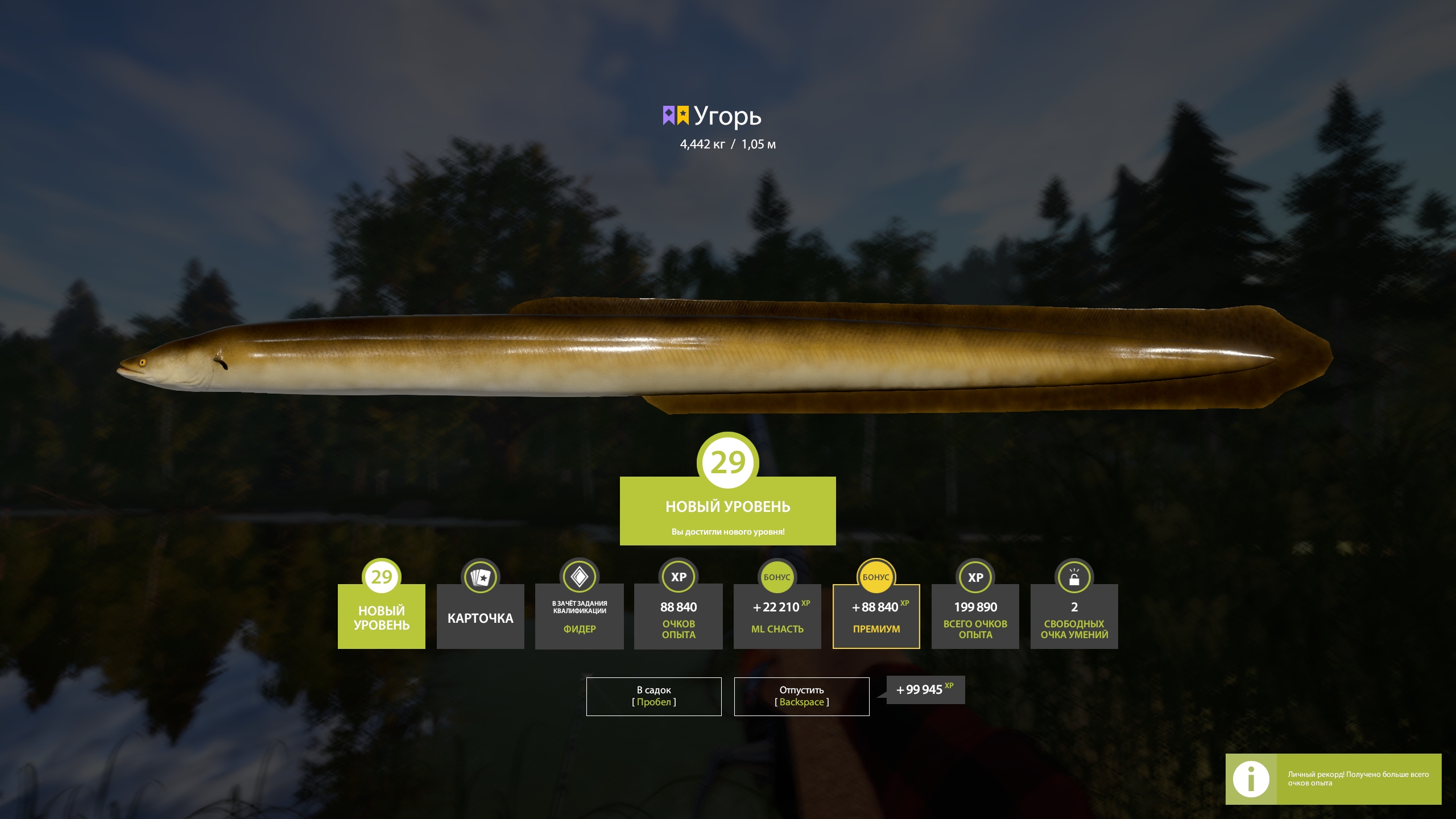 Trophy Old Burg Lake