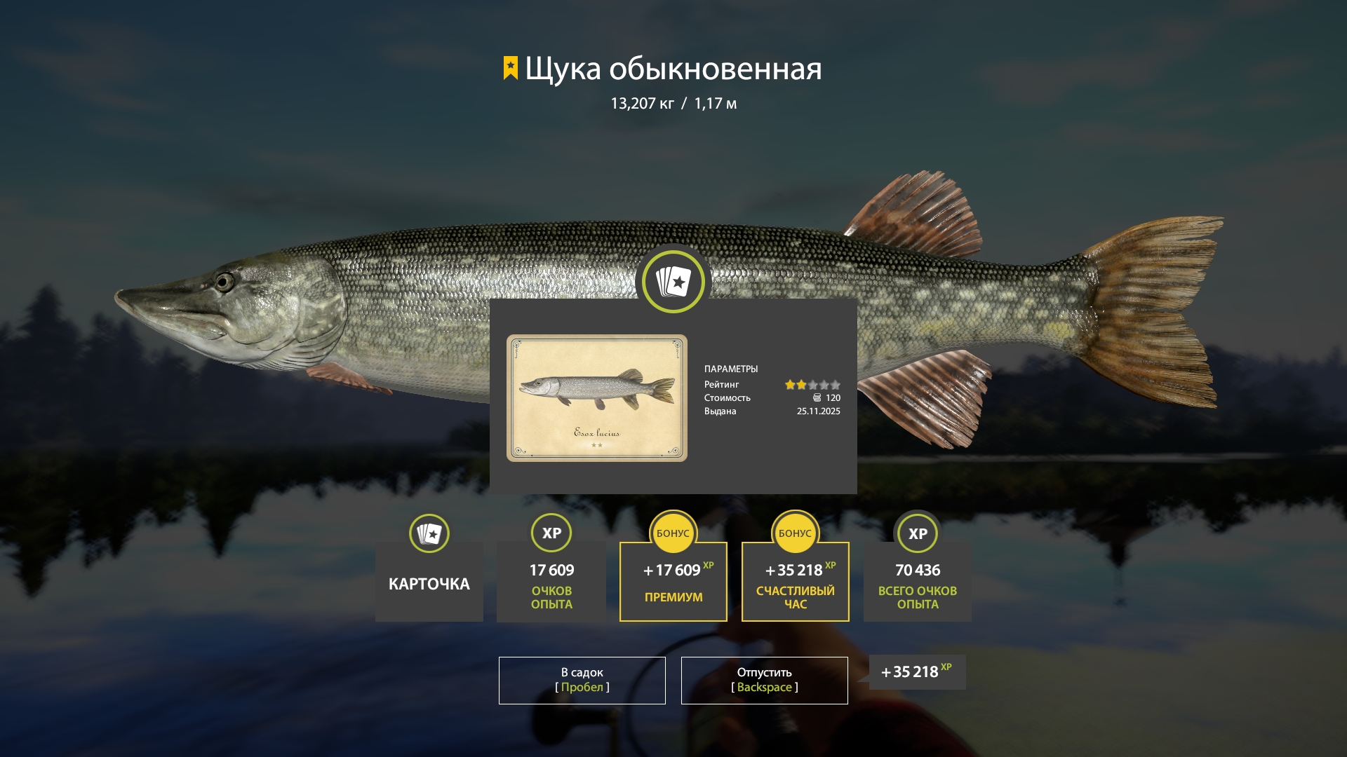 Trophy Old Burg Lake