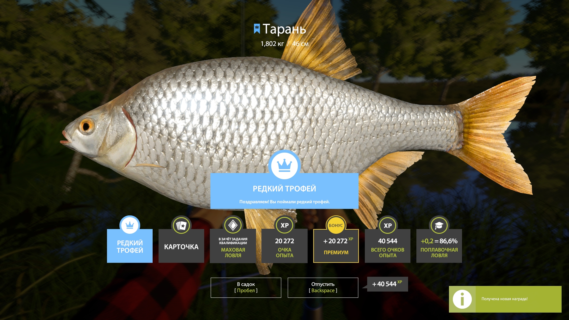 Trophy Seversky Donets River