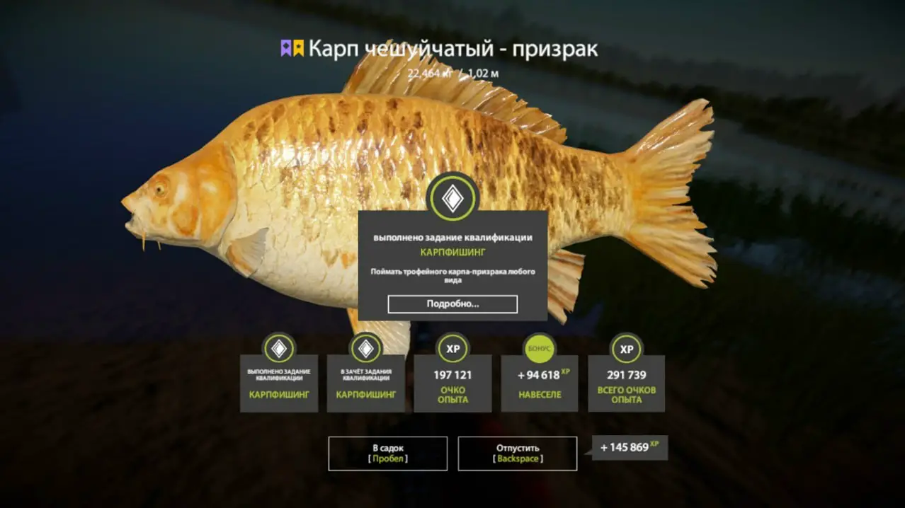 Trophy The Amber Lake