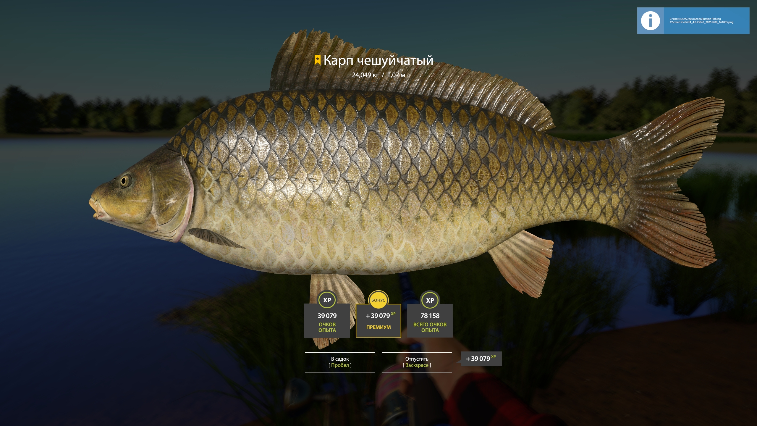 Trophy The Amber Lake