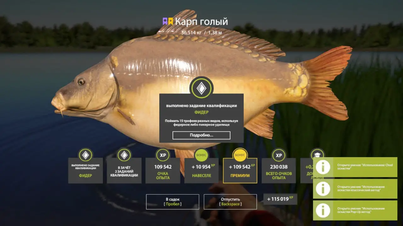 Trophy The Amber Lake