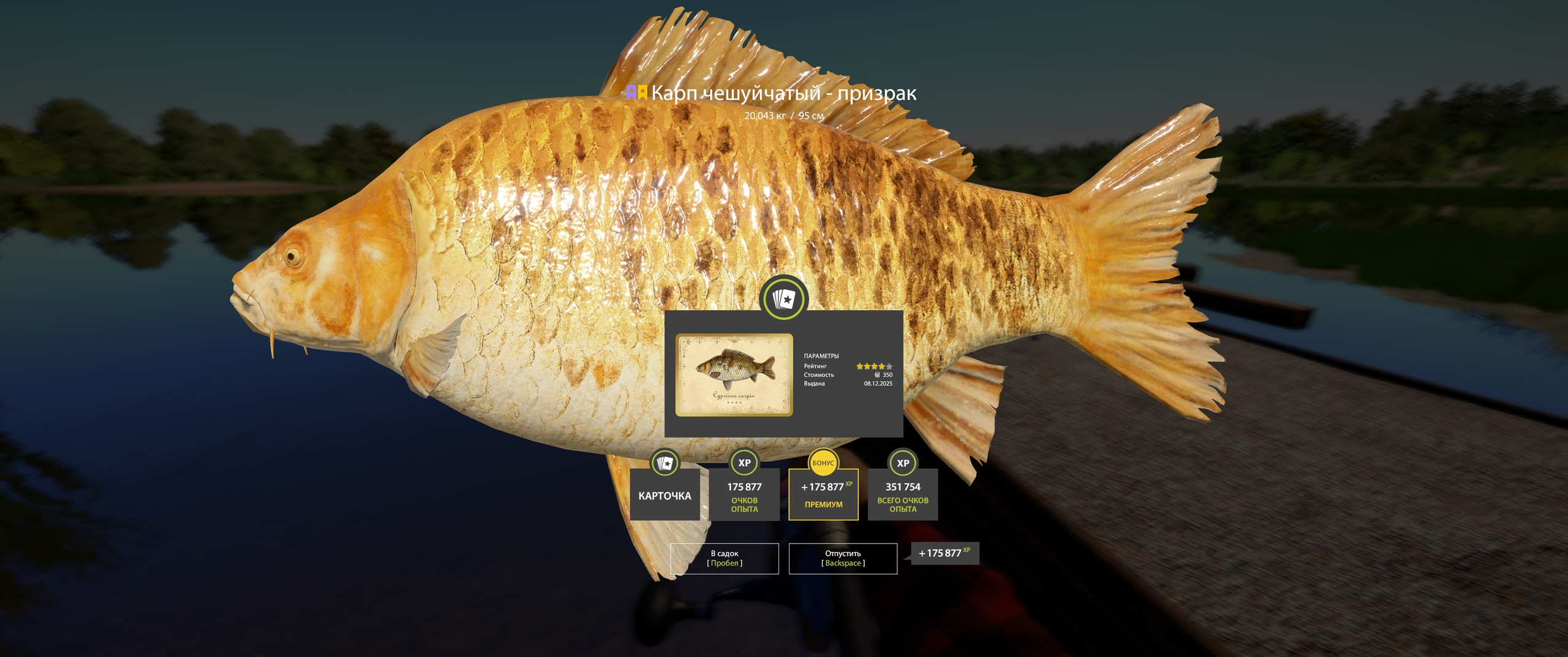 Trophy The Amber Lake