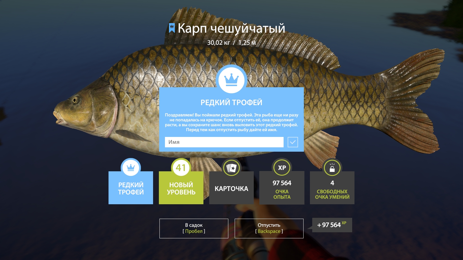 Trophy The Amber Lake