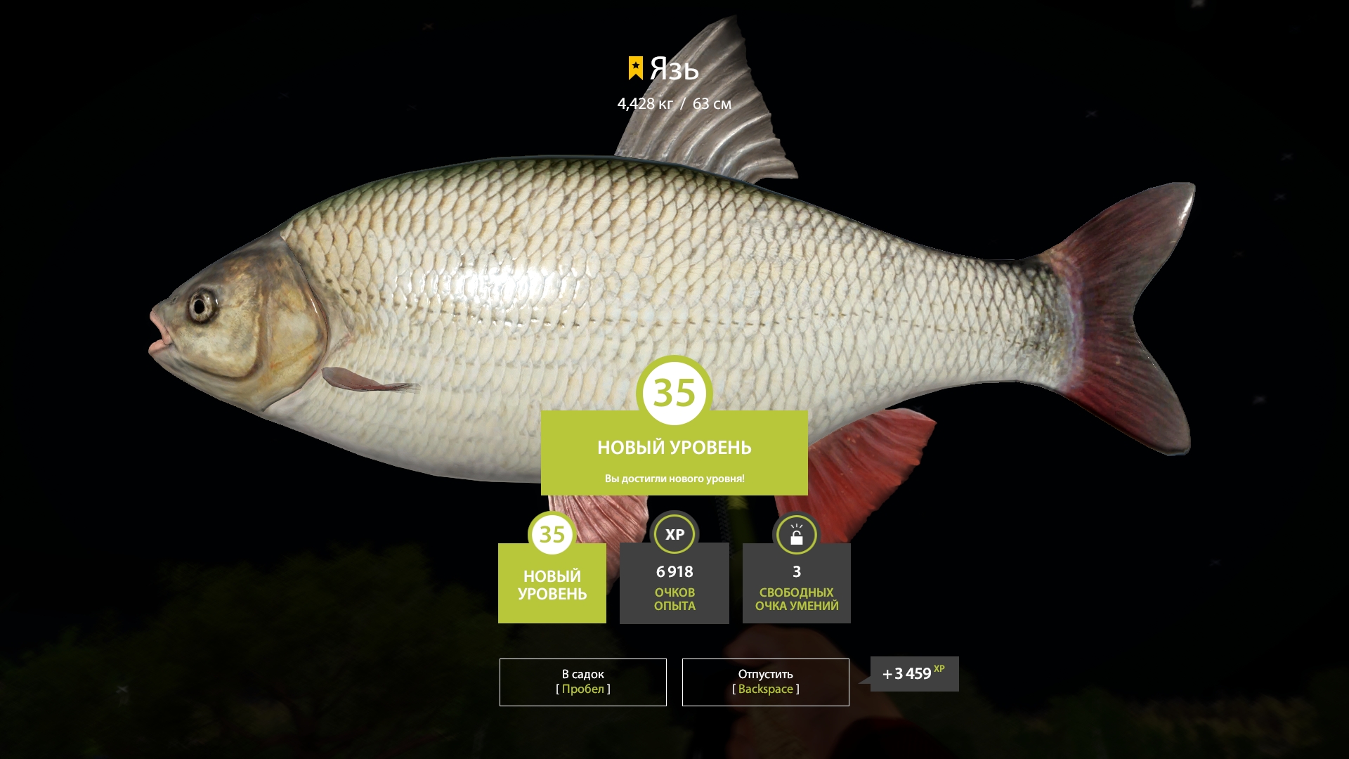 Trophy Mosquito Lake