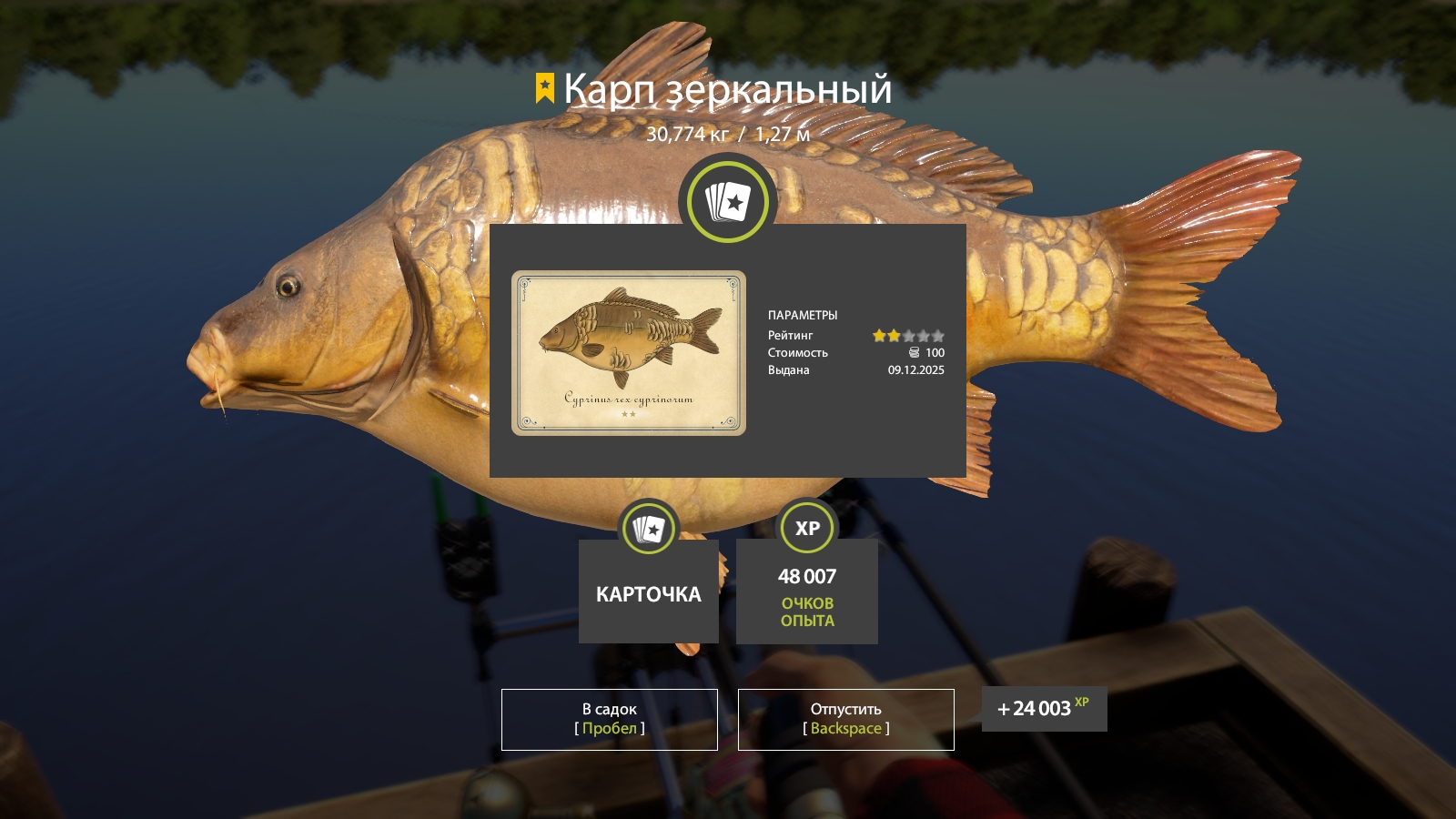 Trophy The Amber Lake