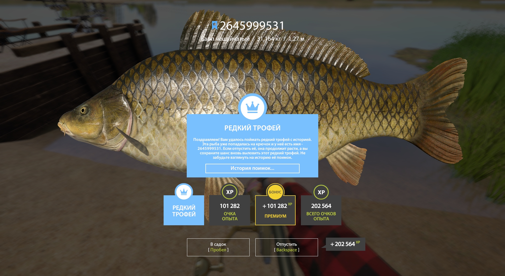 Trophy The Amber Lake