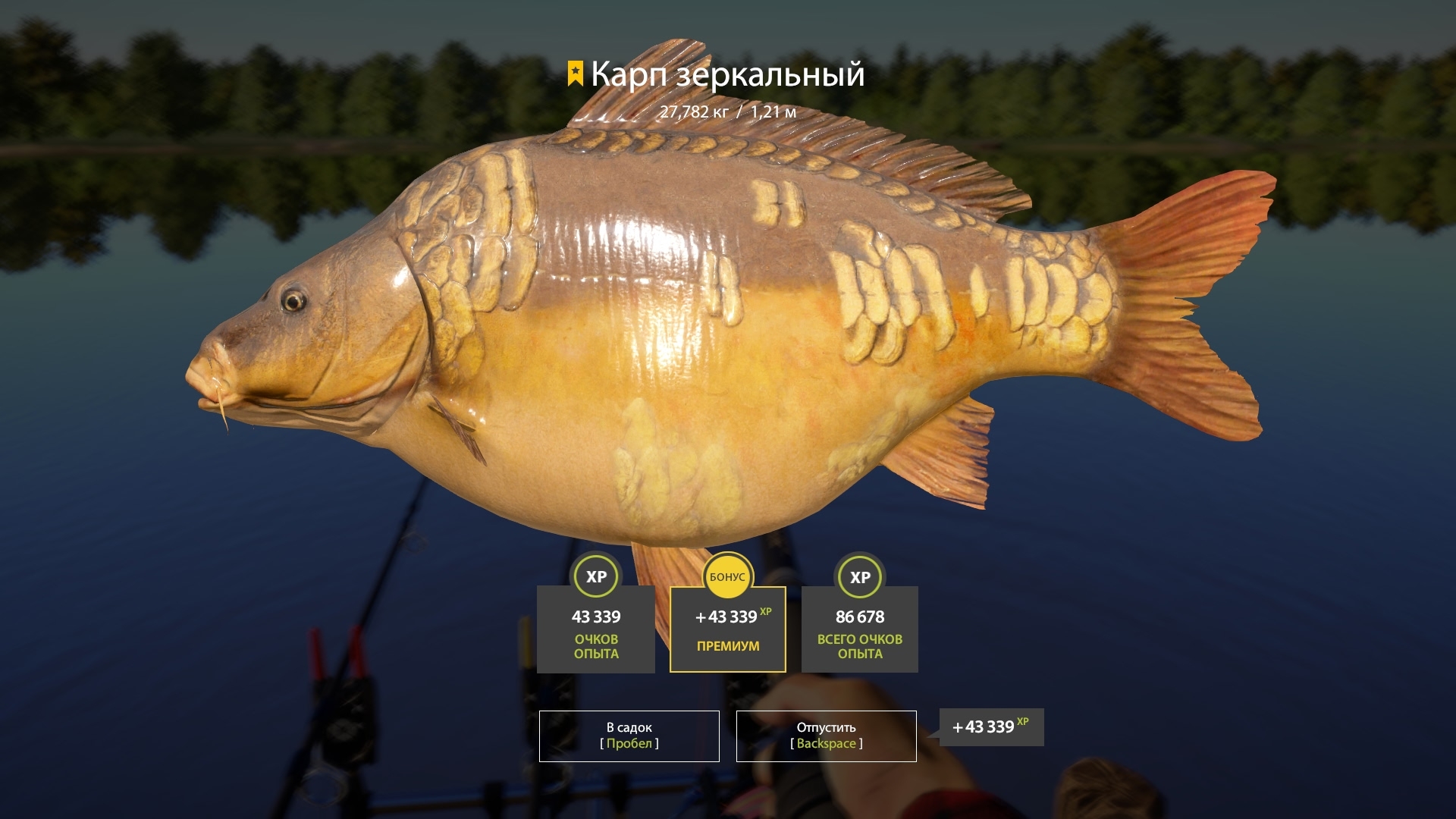 Trophy The Amber Lake