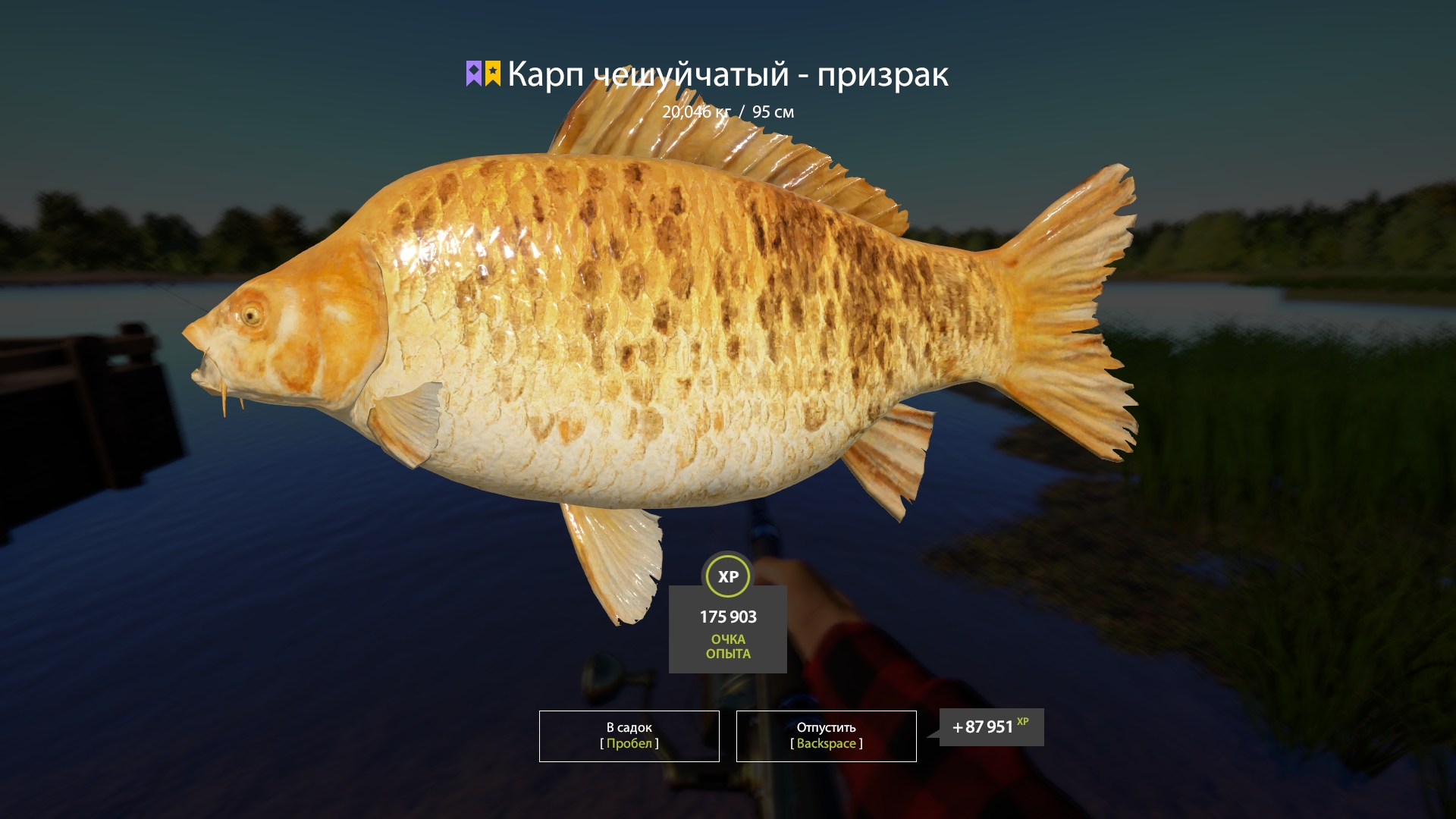 Trophy The Amber Lake