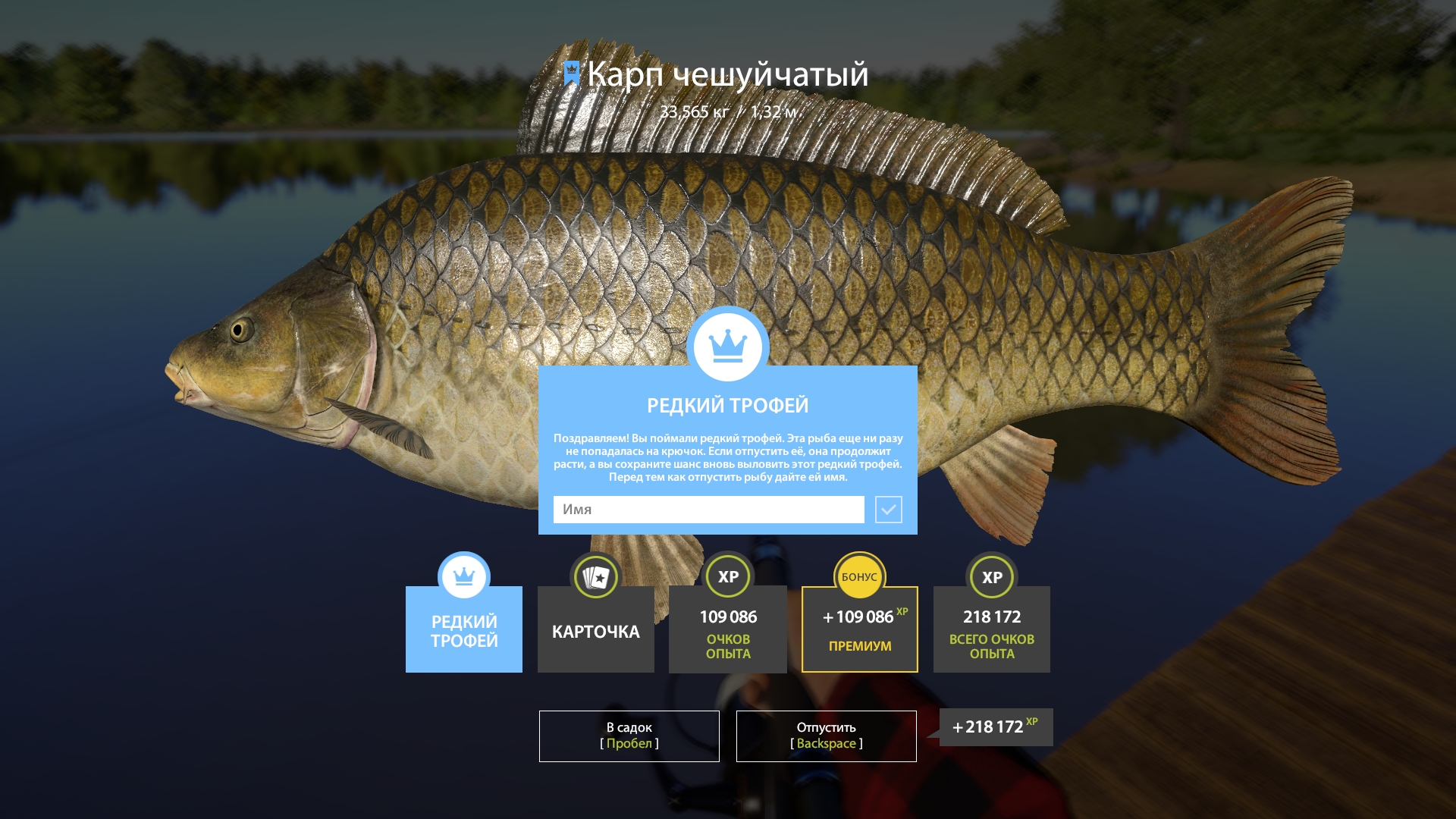 Trophy The Amber Lake