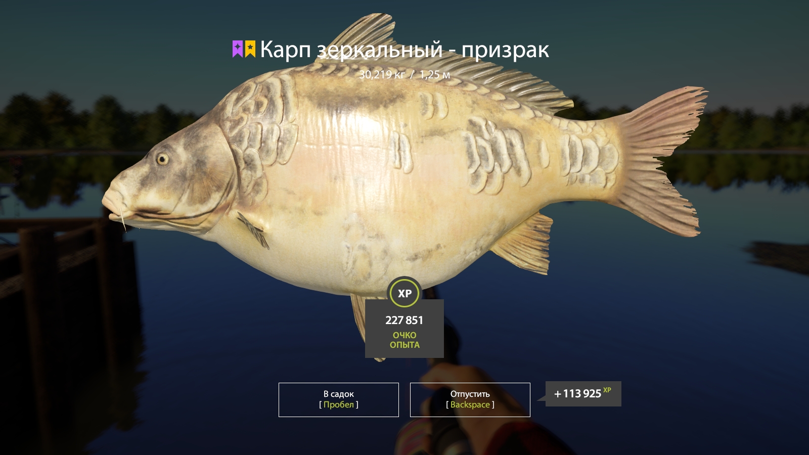 Trophy The Amber Lake