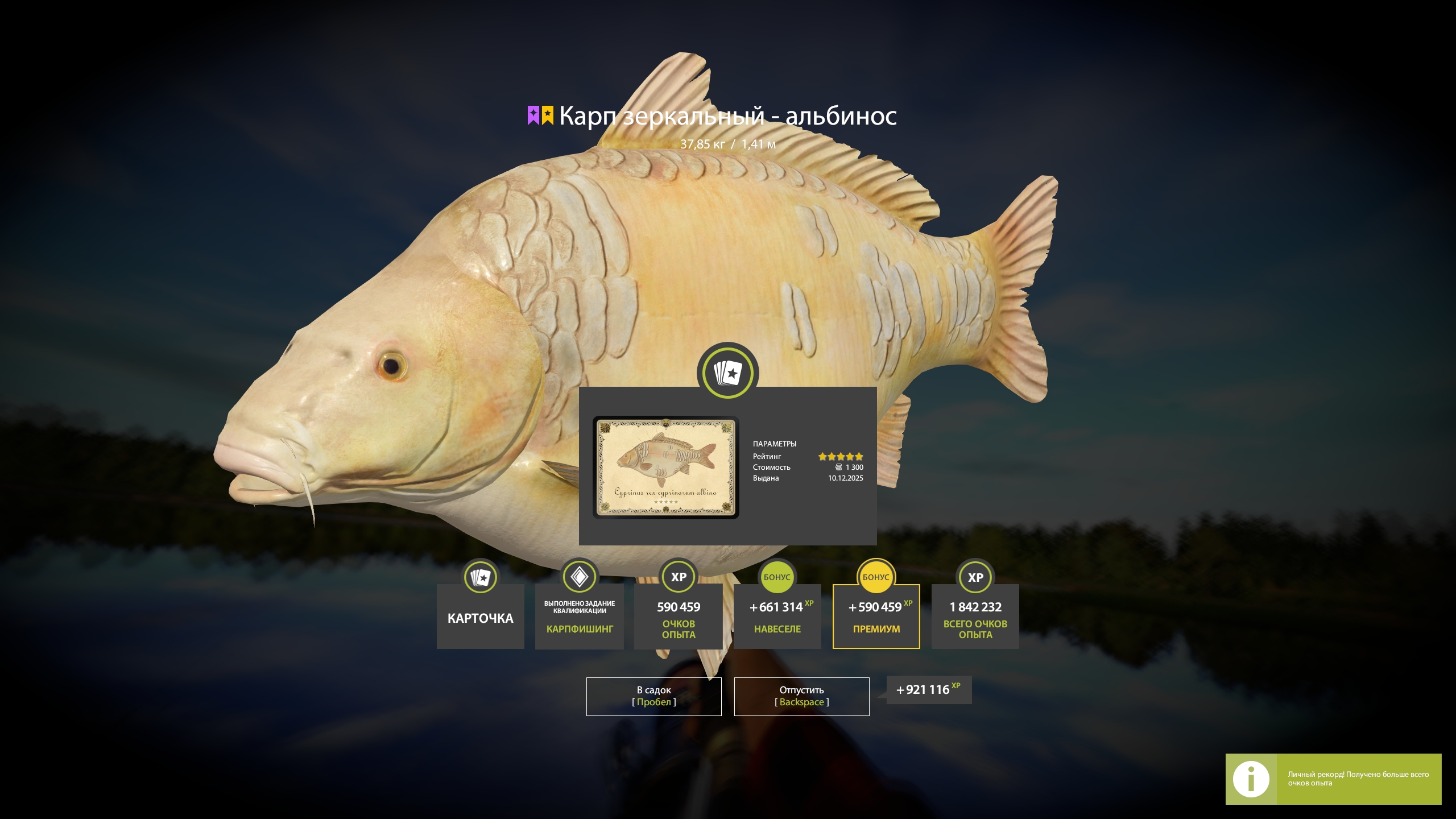 Trophy The Amber Lake