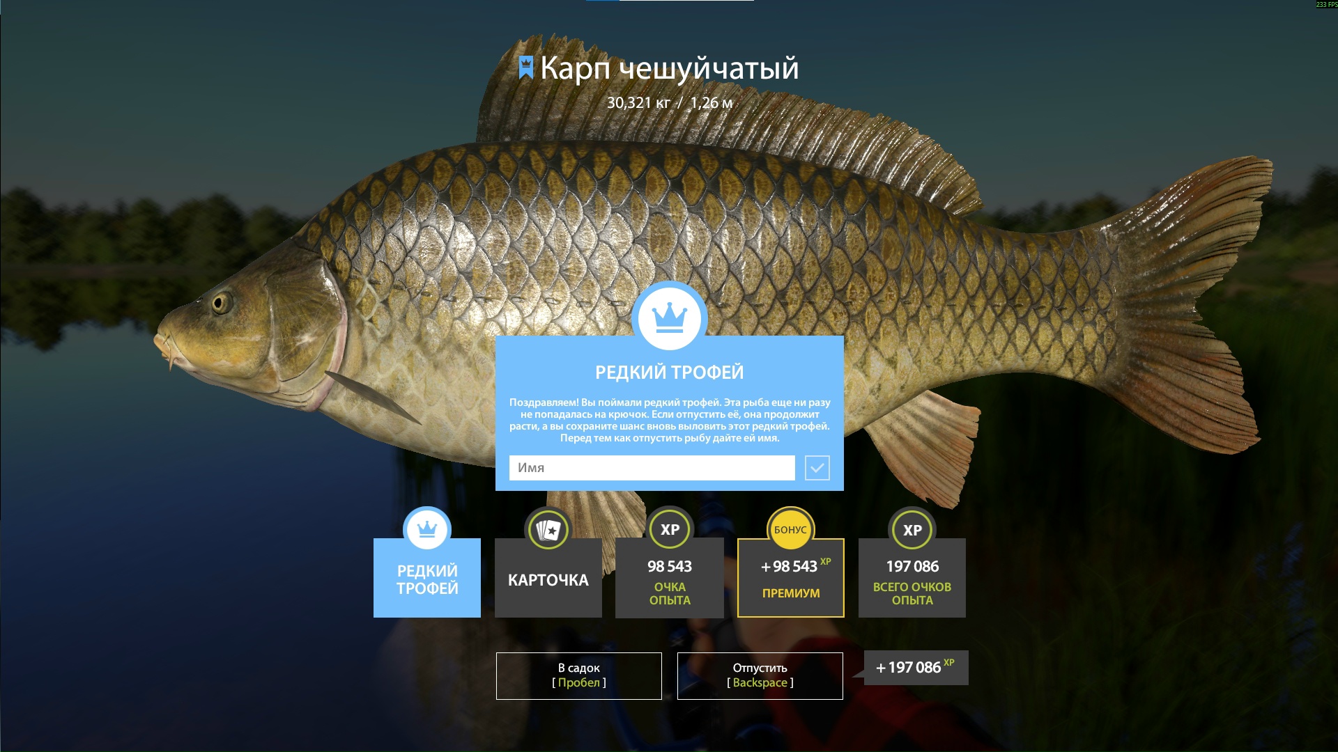 Trophy The Amber Lake