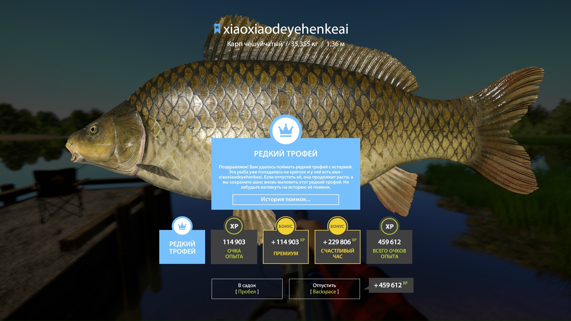 Trophy The Amber Lake