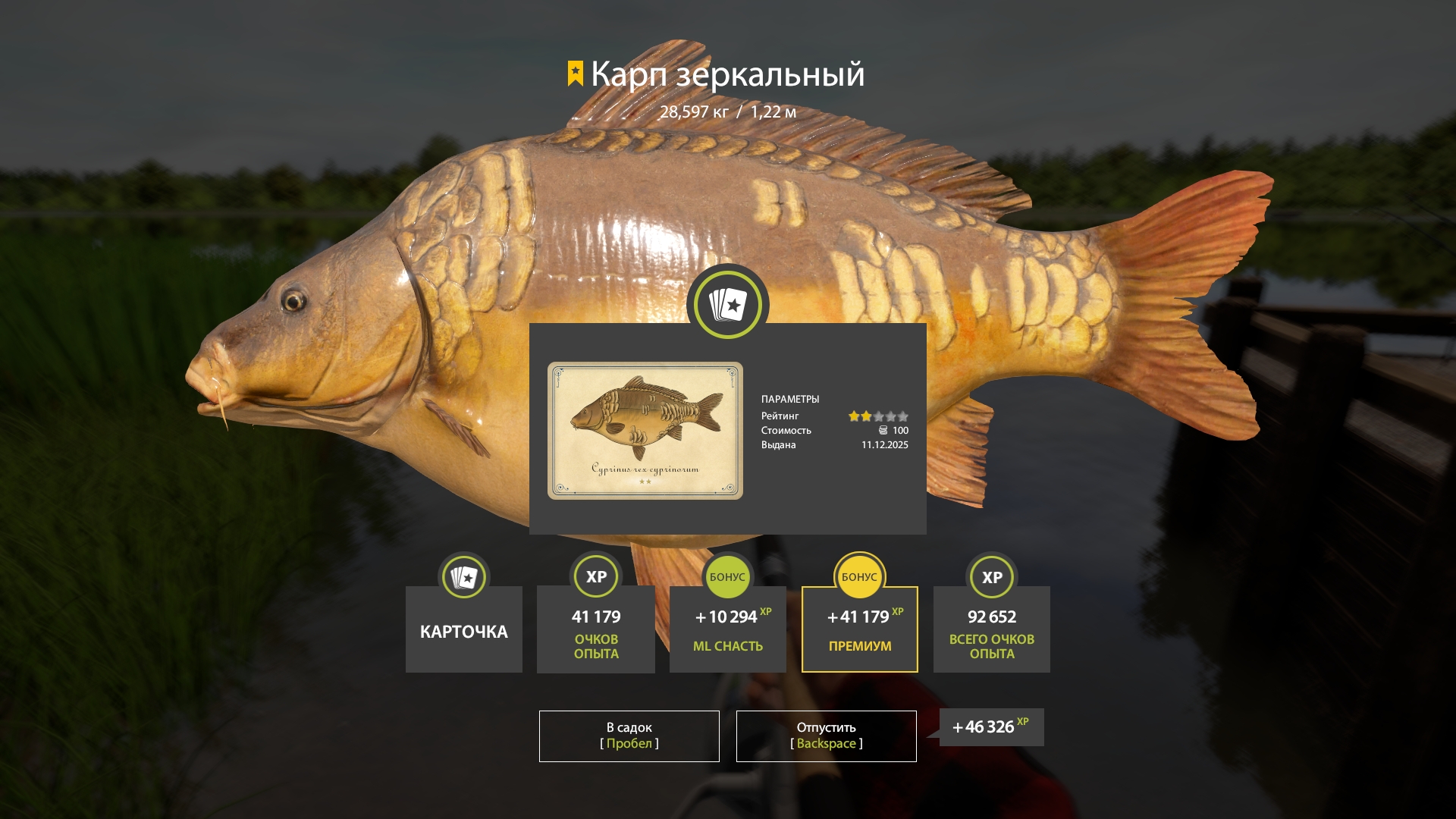 Trophy The Amber Lake