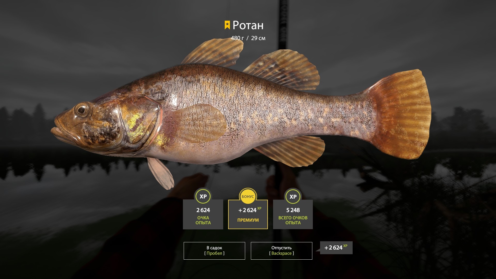 Trophy Old Burg Lake