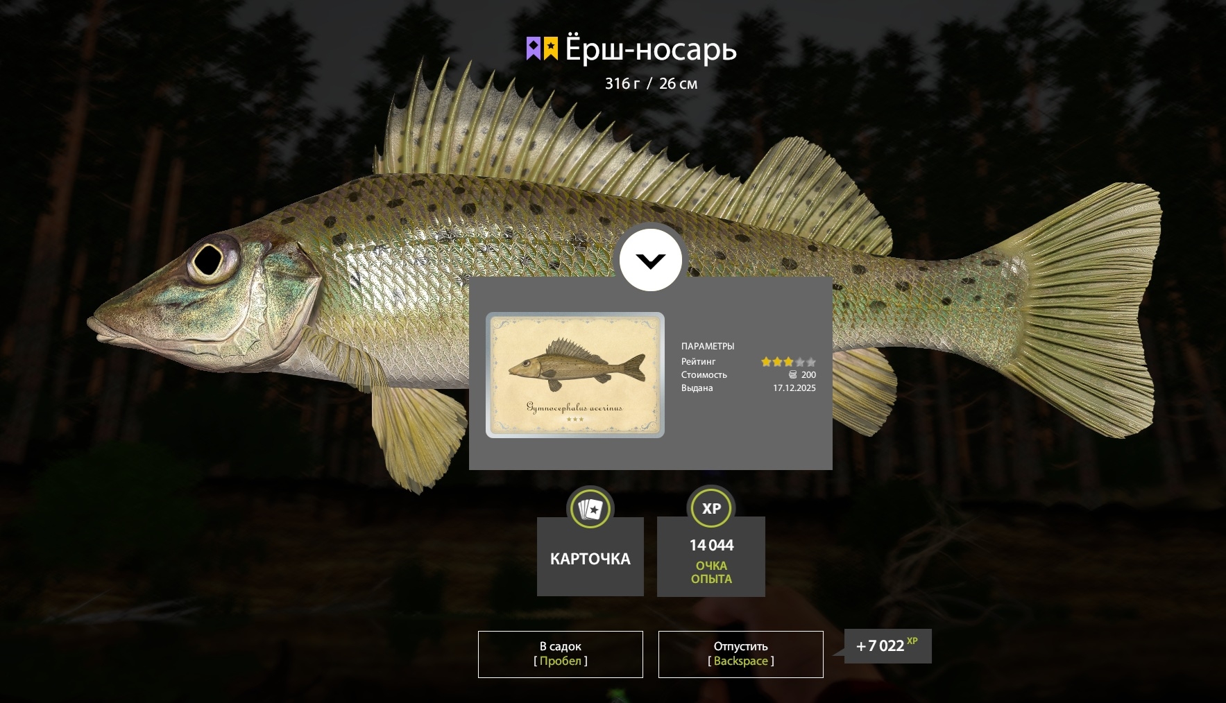 Trophy Winding Rivulet