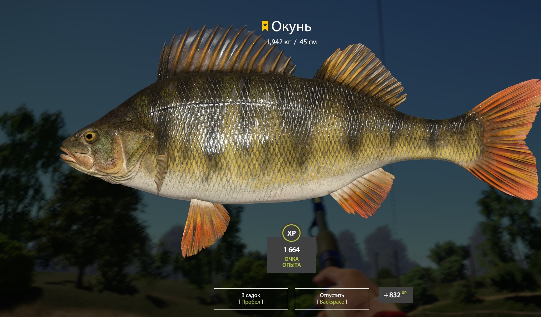 Trophy Winding Rivulet