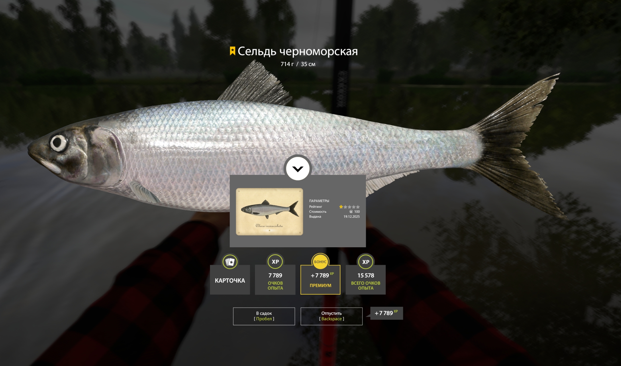 Trophy Seversky Donets River