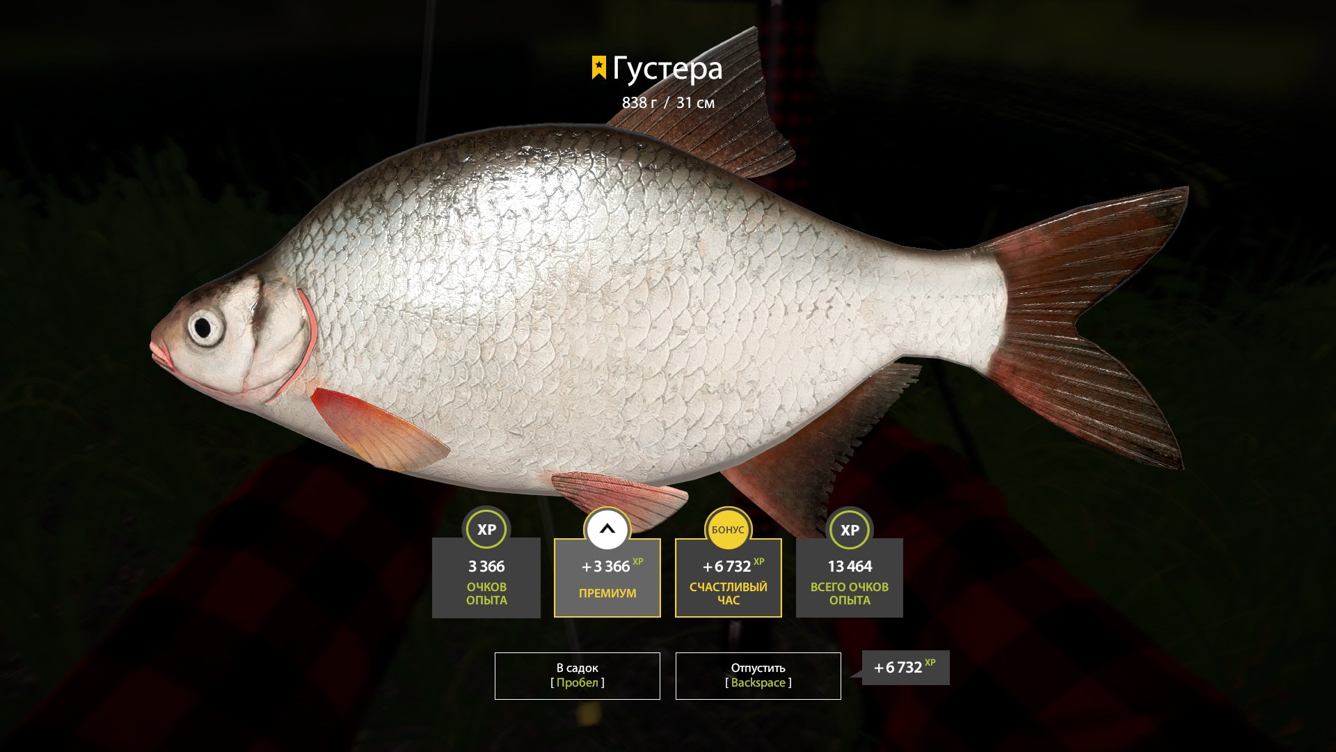 Trophy Old Burg Lake